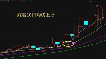 长线和短线哪个赚钱?