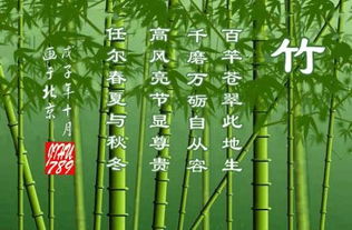 关于竹子有名的诗句是什么
