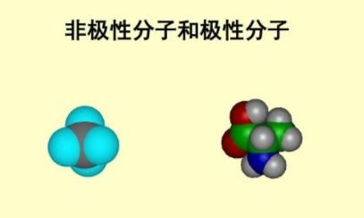 二氧化硫是极性分子吗 