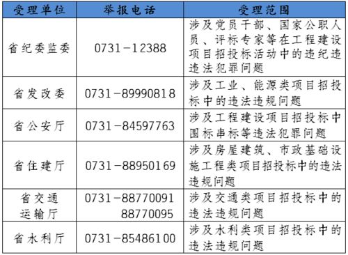 基建报表 工程建设领导小组是什么意思