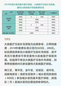 居民大病医疗保险个人缴费河北保定退休人员大病医保怎么交