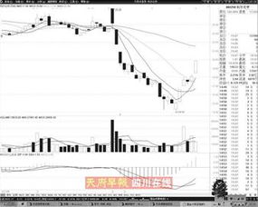 利尔化学为什么重组