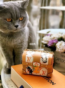 LV限量款猫咪包 Louis Vuitton X Grace Coddington 联名胶囊系列