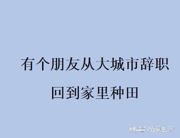 有个朋友从深圳辞职,回到家里种田