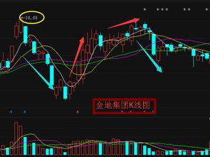 请问金地集团调整到位了吗？