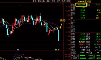 委比=+100 意思是所有交易都记入买盘还是所有委托都是委买？