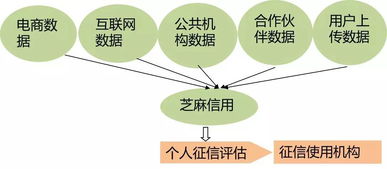 投8000万元持蚂蚁金服7%股权的上市公司是哪一个？