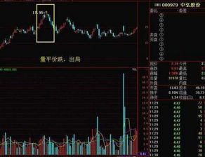 假如股票价格一直跌到0，该公司咋办？