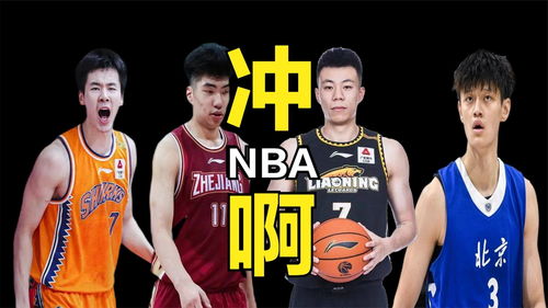 在cba的nba球员名单〖在中国CBA打球的NBA球员有几位,都叫谁 〗