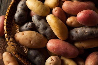 8月份种土豆几月收获 立秋能种土豆吗