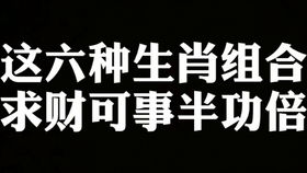 2020属狗人财运如何