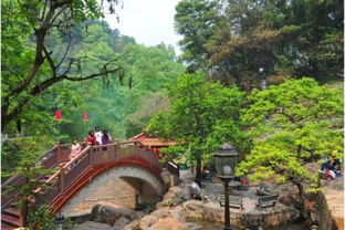 梅州 梅江区泮坑自然景区清明节吸引众多游客 