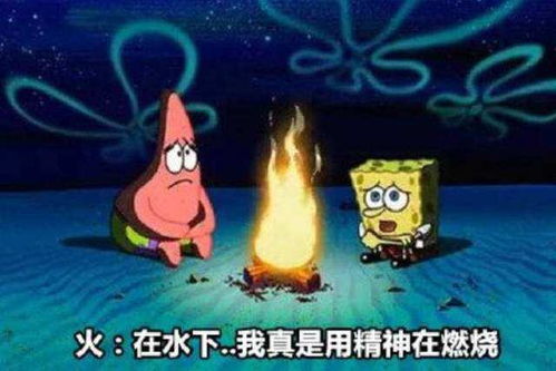 动画中的这些沙雕设定究竟是谁想的 海洋生物会溺水这也太扯了