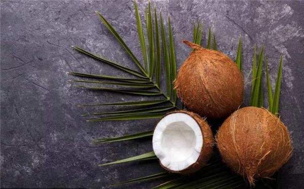 椰子种子的传播方式 椰子的种子图片