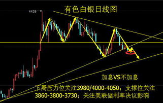 怎样理解"；股票有风险，入市需谨慎