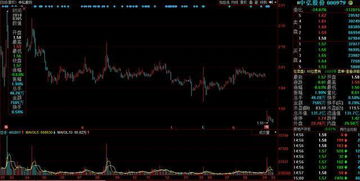 我拿1万块钱买1只股票如果股票下跌在不补仓的情况下会输到1分钱都没有吗？