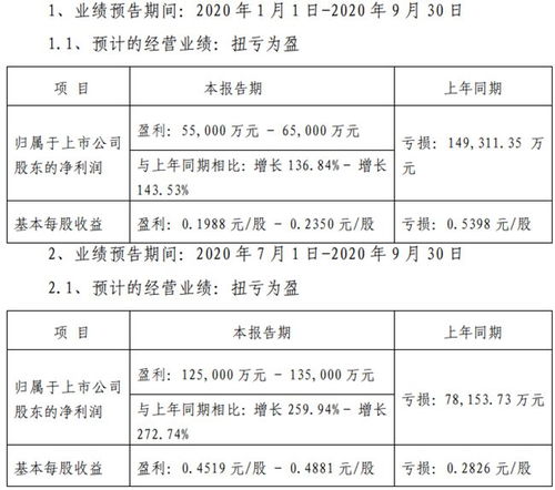 华映光电股份有限公司的基本信息