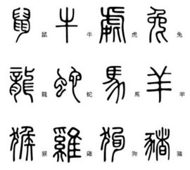 大家谁知道12生肖的 篆体字怎么写 麻烦告诉一下了 拜托 