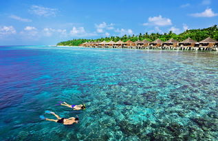 夏天去马尔代夫库拉玛提岛有哪些精彩景点