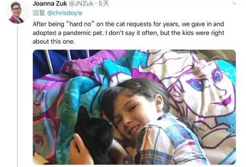 为了养猫,10岁女孩蓄谋5年甩出一份ppt给父母 当年欠的猫该还了