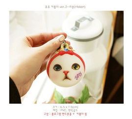 有一种常印在韩国文具上的猫 特别漂亮 眼睛很大 脸蛋还是红的 叫什么名字 有没有图片可下载 