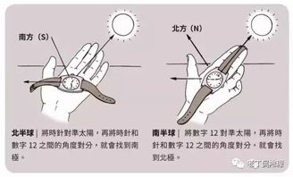 有哪些方法可以帮助辨识自己的体质类型？