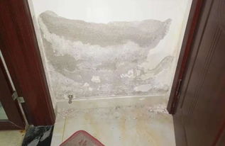 一位装修者良心提醒 我家卫生间被淹了,都是5大防水措施没做好