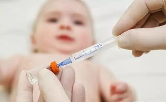 免费的A群流脑疫苗和自费的AC结合疫苗有什么区别 怎么选才对