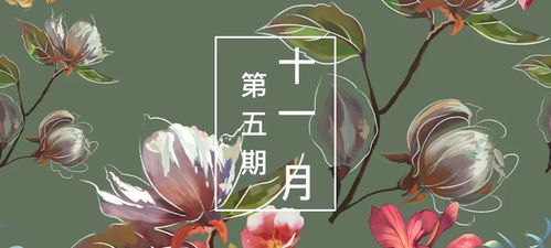 花型推荐 11月第五期优秀花型看这里