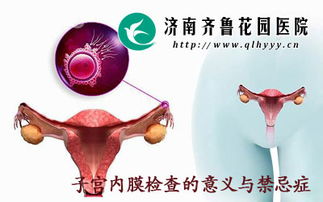 子宫内膜检查的临床意义与禁忌症