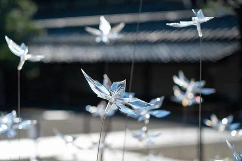LUCENT的钢制 棱镜的透明花,在京都仙游寺绽放 the 