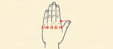 五指短小命不好,你的哪根手指比较短 你的命运便是如何