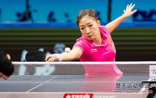 乒乓球世界排名 中国队包揽前三 平野美宇跻身前十 