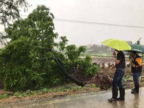 大雨继续报到 里水人周末注意防御强对流天气