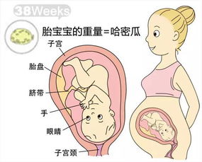 第十一次产检丨 孕38周 凝血四项 不规则抗体筛查 本周注意事项那点事儿 