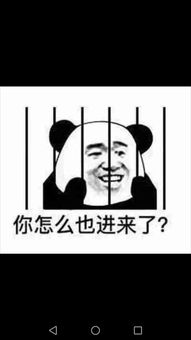 有案底不能进公司吗