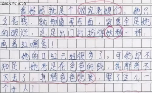 爱干净的妈妈作文300字