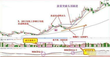 为什么利用老鸭头K线战法选股能够抓取大牛股轻松股价上升 