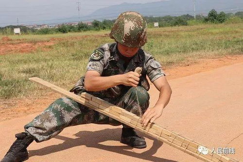 兵哥哥择偶标准比别的职业男生高吗 (择偶行业排行榜)