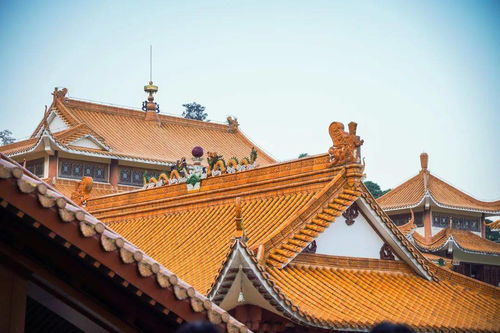 深圳最灵寺庙地图 来啦,建议收藏