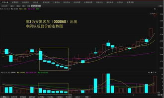 主力吸货有几种？会在上涨中吸货吗？要是主力吸货打压的太低散户吓跑了股价大幅下跌怎么办？