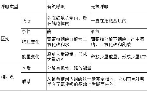 你真的了解有氧及无氧运动吗 这样做减脂效果最佳