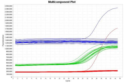 怎么确定实时定量PCR中熔解曲线峰值是正确的