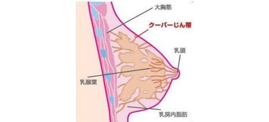 舒适到让你忘记穿了内衣的隐形 bra 出新款了 一周狂卖 3 万件 穿过就会回购