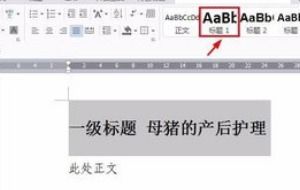 直播文字标题怎么设置(直播间文字怎么弄)