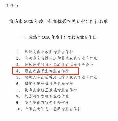 快递组长月工作总结范文  农村一小组长的年终总结？