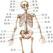 生物 21世纪教育 