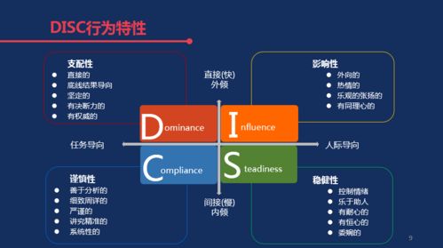 20套国际通用性格测试 disc 九型人格 MBTI等全都有