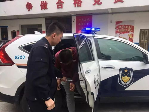 重案六组警察查车教程：如何配合警方检查