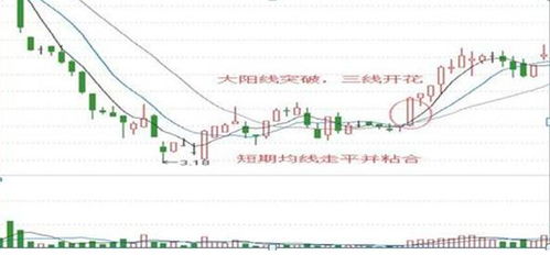 在中国，一旦股价崩盘，哪些公司将倒闭